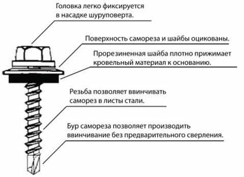 конструкция кровельного самореза