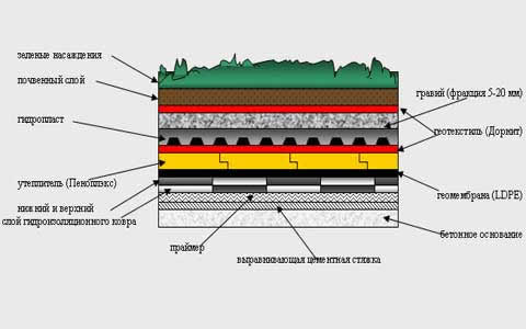 структура зеленой плоской кровли